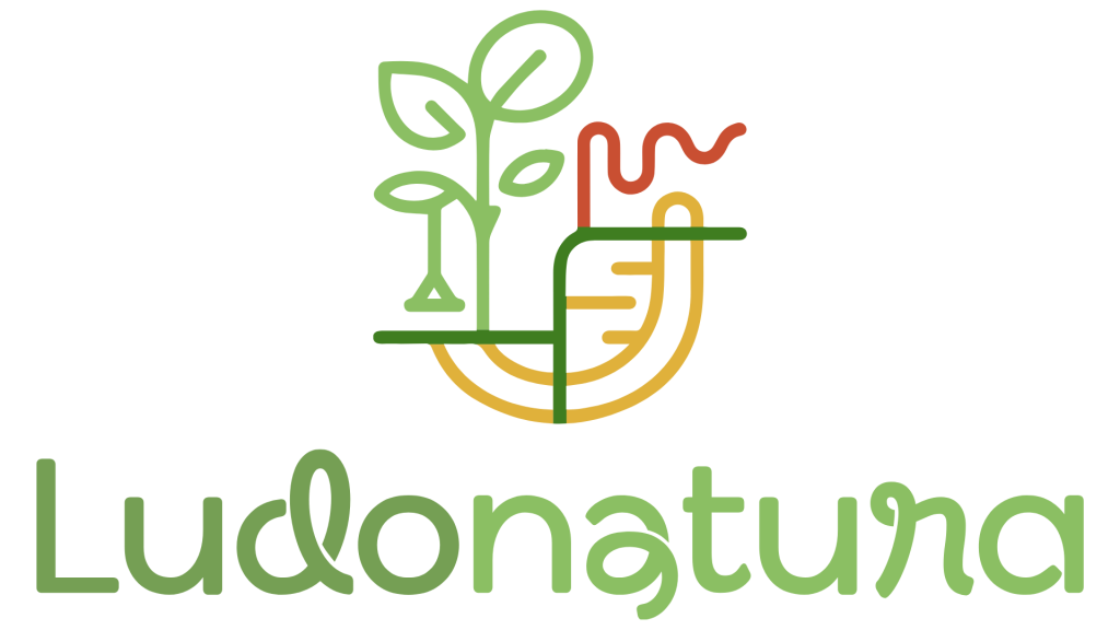 Logotipo Ludonatura con icono de hoja verde y línea naranja.